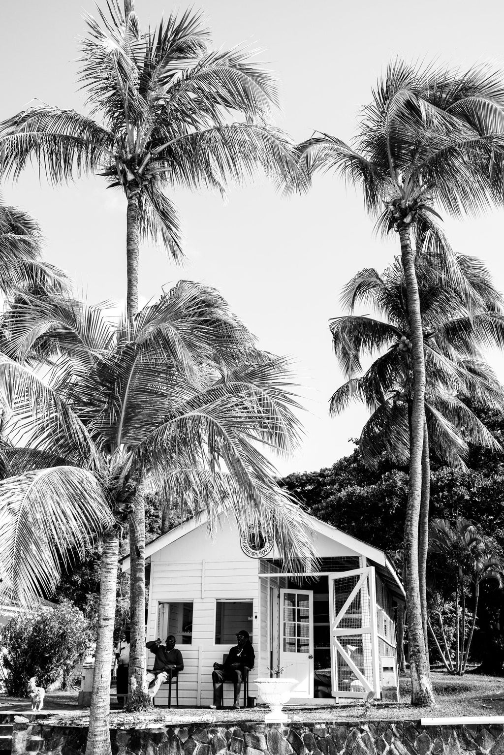 Caribbean Palms - Set of 2