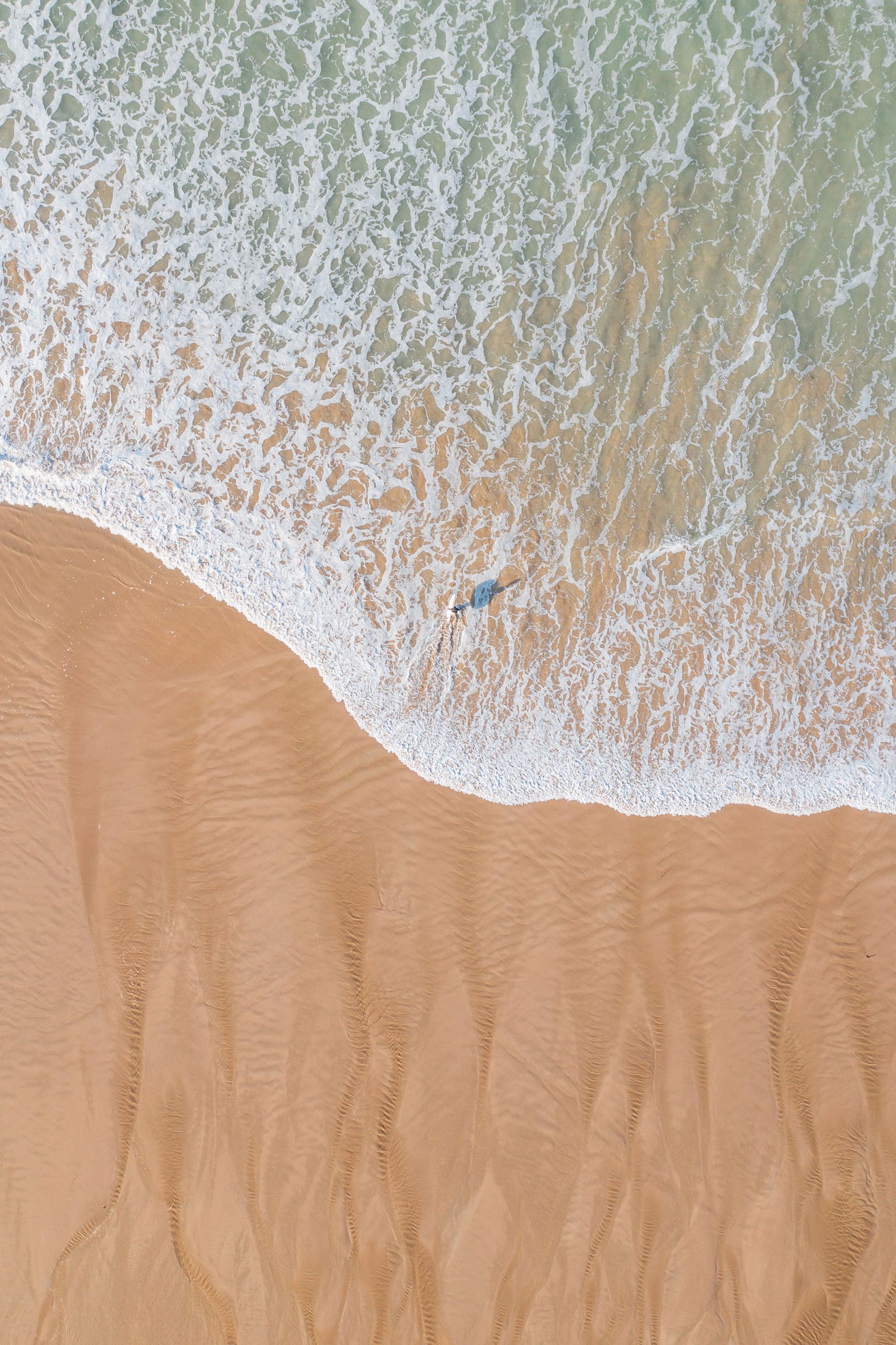 Shoreline Shadows - Set of 2
