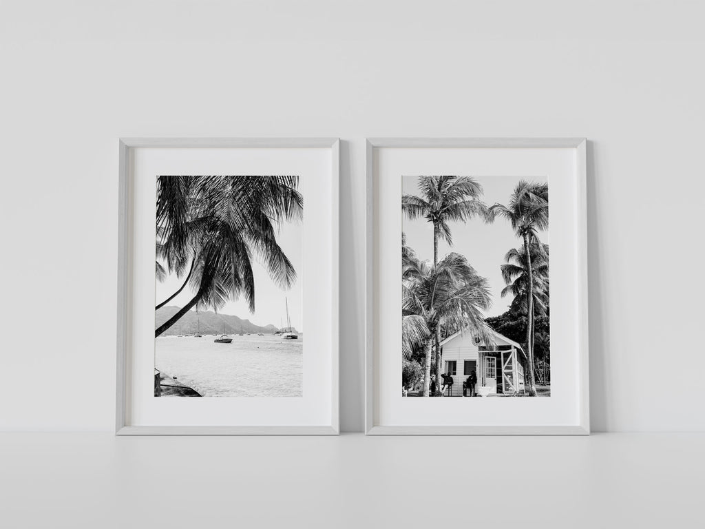 Caribbean Palms - Set of 2