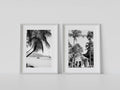 Caribbean Palms - Set of 2